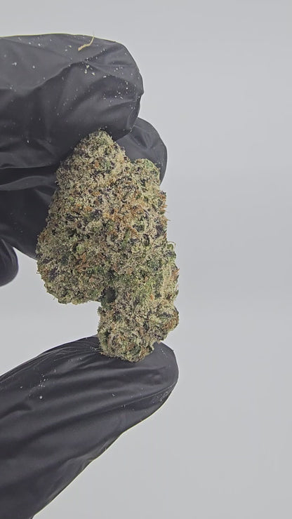 Blood Diamond | First Cut Exotics | Flower