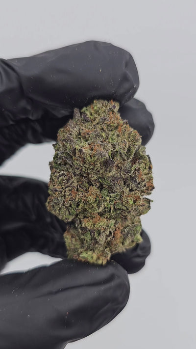 Supreme Gelato | Boutique Exotics Flower | On Sale