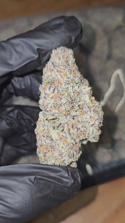 9 Lions | First Cut Exotics | Flower