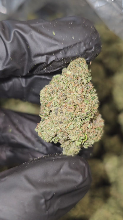 Larry OG | Top Shelf | Flower | ON SALE