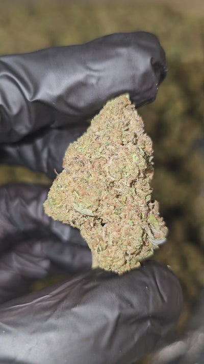 Cherri Taffi | Budget Top Shelf | Flower | On Sale