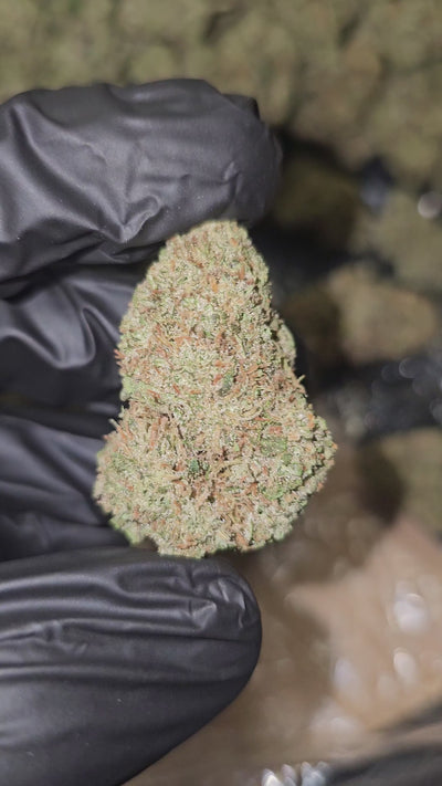 Donny Burger | Top Shelf Flower | On Sale