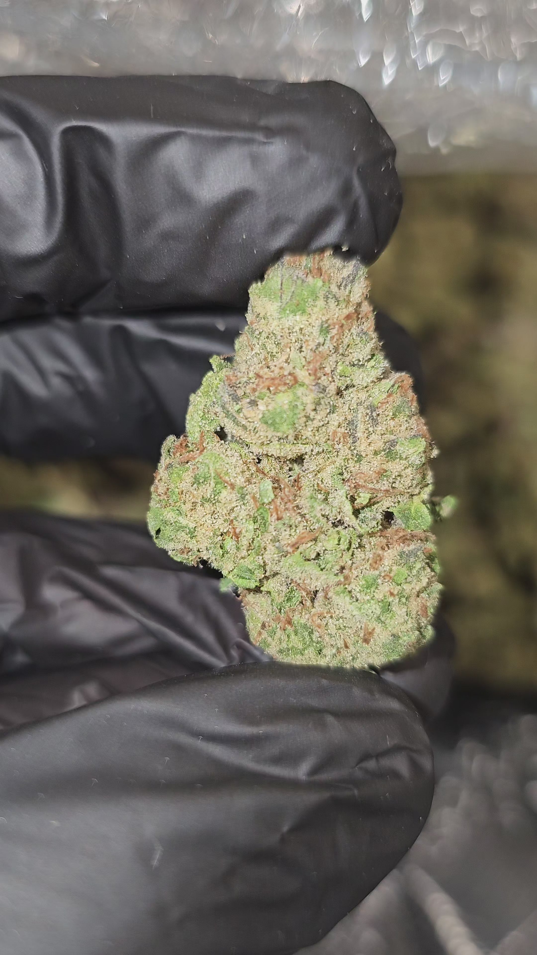 Load video: Pineapple Fruz | Top Shelf | Flower | ON SALE