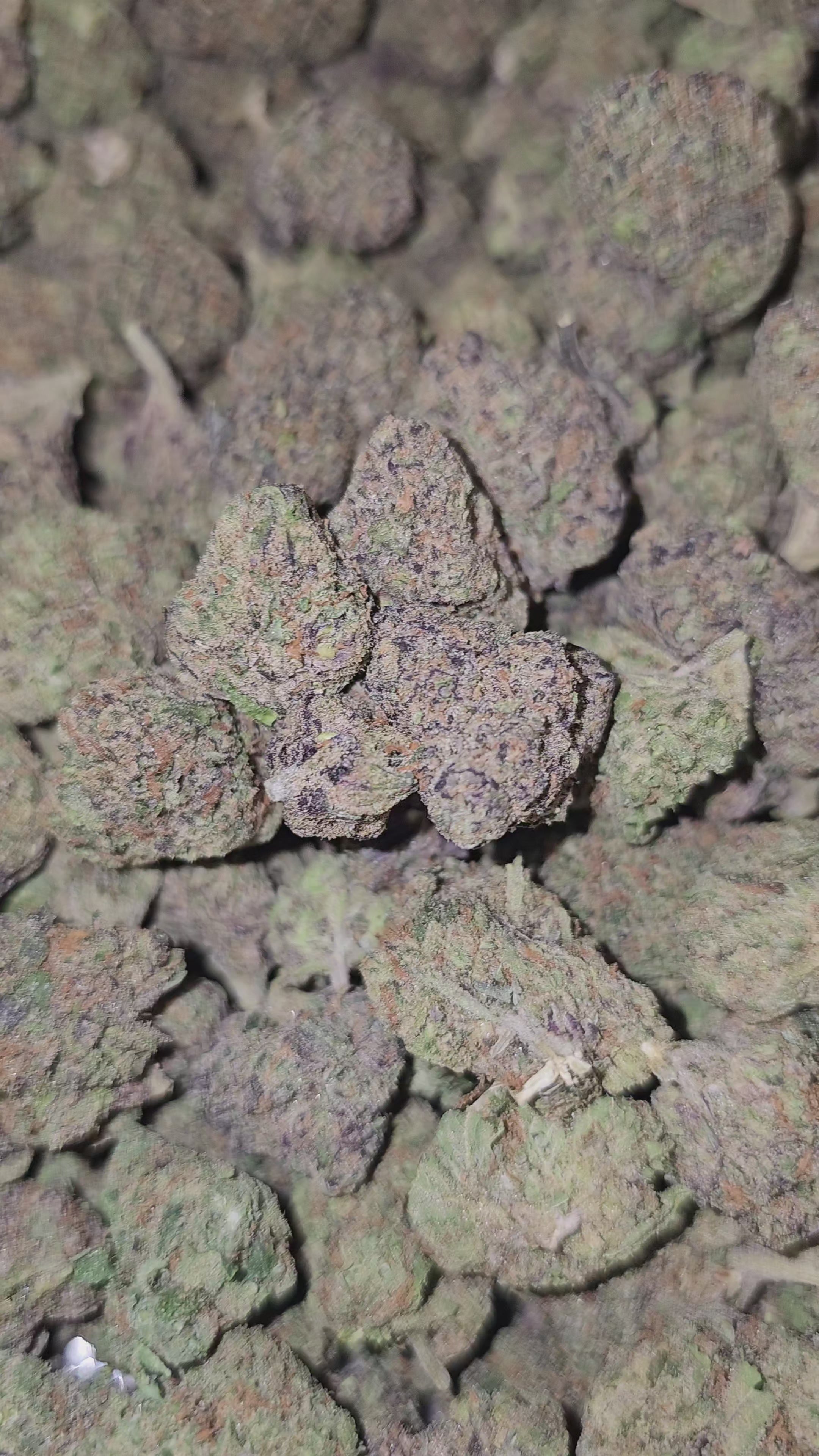 Grape Inferno | Top Shelf | 33% | Flower | On Sale