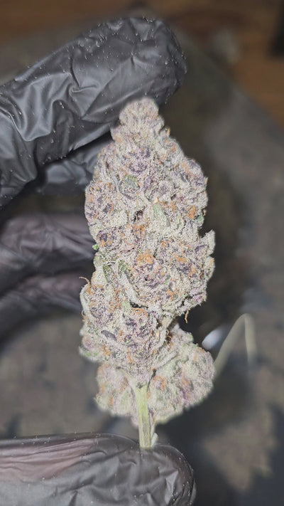 Cherry Poppers | First Cut Exotics | 35% | Flower