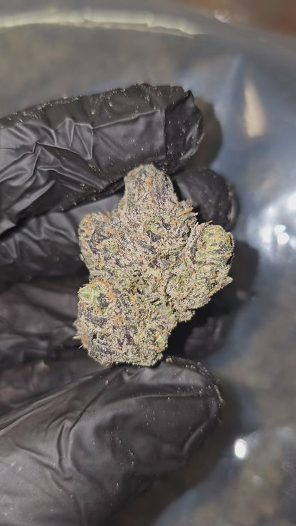 Wedding Cake | First Cut Exclusive | Flower | ON SALE