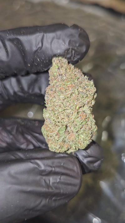 Super Runtz | Budget Top Shelf | 32% | Flower | On Sale
