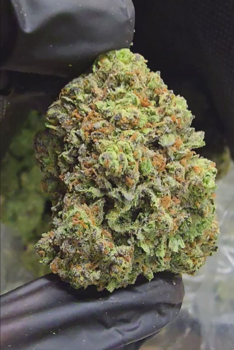 Load video: Blue Flame | Top Shelf | Flower