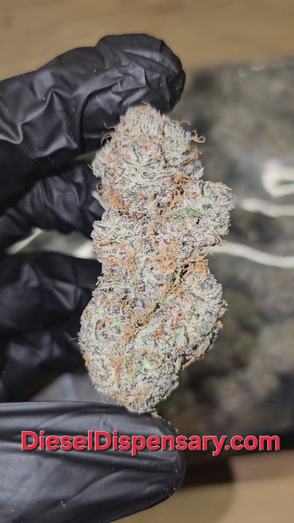 Load video: Grape GhostFace | Private Reserve Flower | 34%
