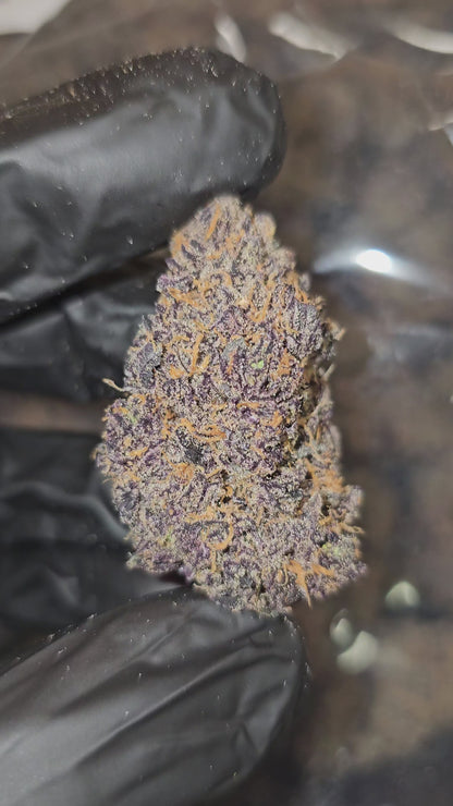Rhino Pussy | First Cut Exotics | Flower | 29.88%