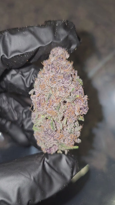 Secret Weapon | First Cut Exotics | Flower