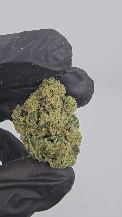 Tahoe OG | Top Shelf | Flower