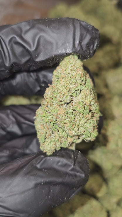 Strawberry Cough | Top Shelf | Flower | ON SALE