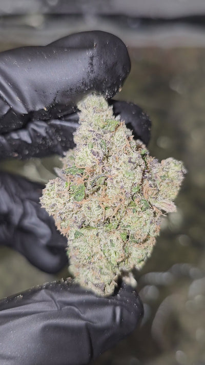 Blue Dream | First Cut Exotics | Flower 36%