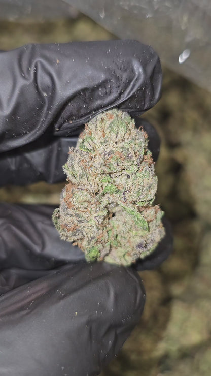 Lemon Cherry Garcia | Top Shelf | Flower