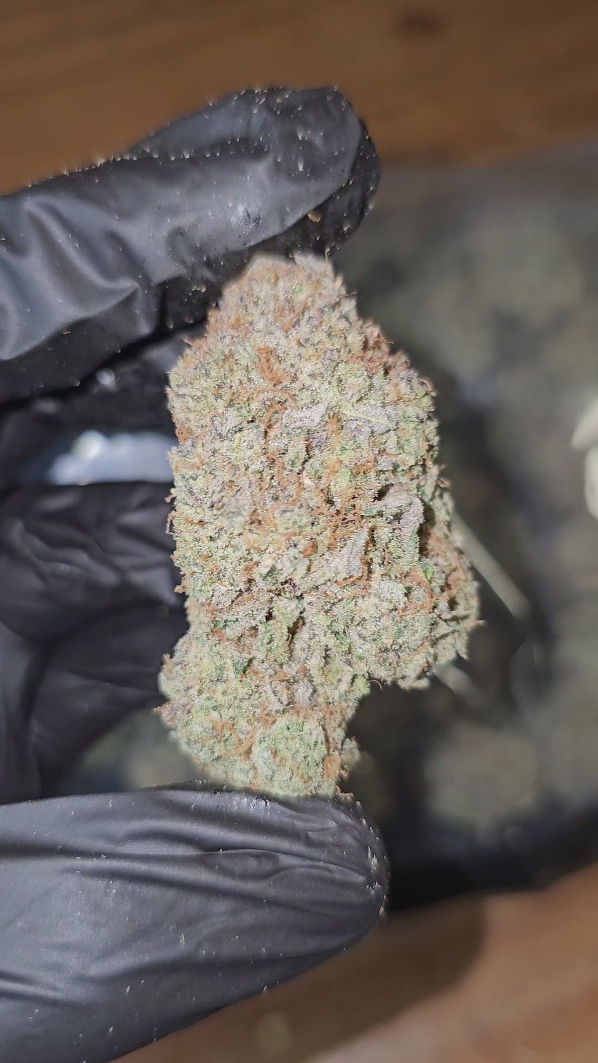 Grape Nutz | First Cut Exotics | Flower