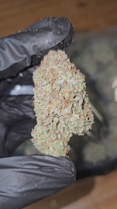 Grape Nutz | First Cut Exotics | Flower