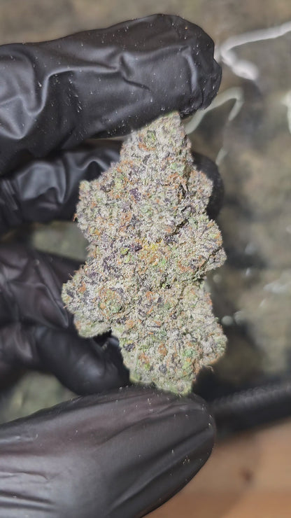 Purple Kush | First Cut Exotics | Flower | ON SALE