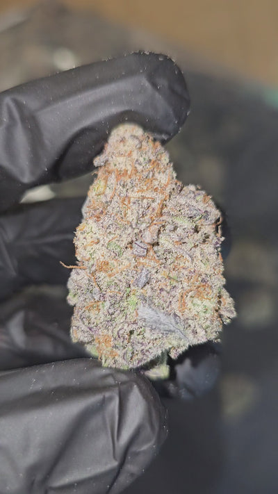 Junior MAC | First Cut Exotics | Flower | 34.39%