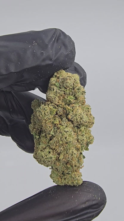 Tahoe OG | Top Shelf | Flower