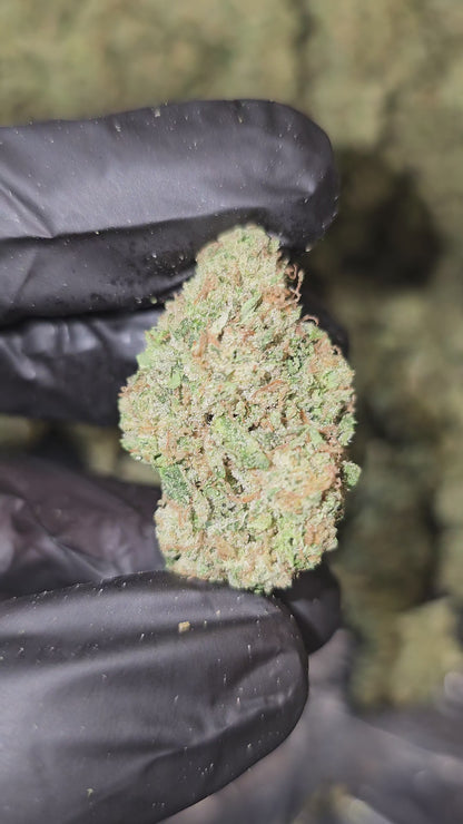 Fiestaz | Top Shelf | Flower