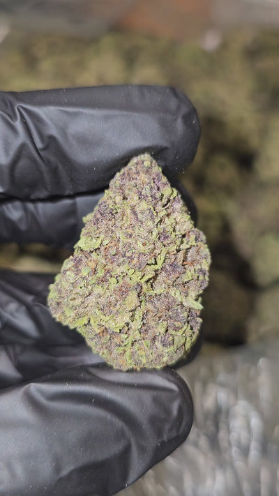 Cherry Pie | Top Shelf | Flower | On Sale