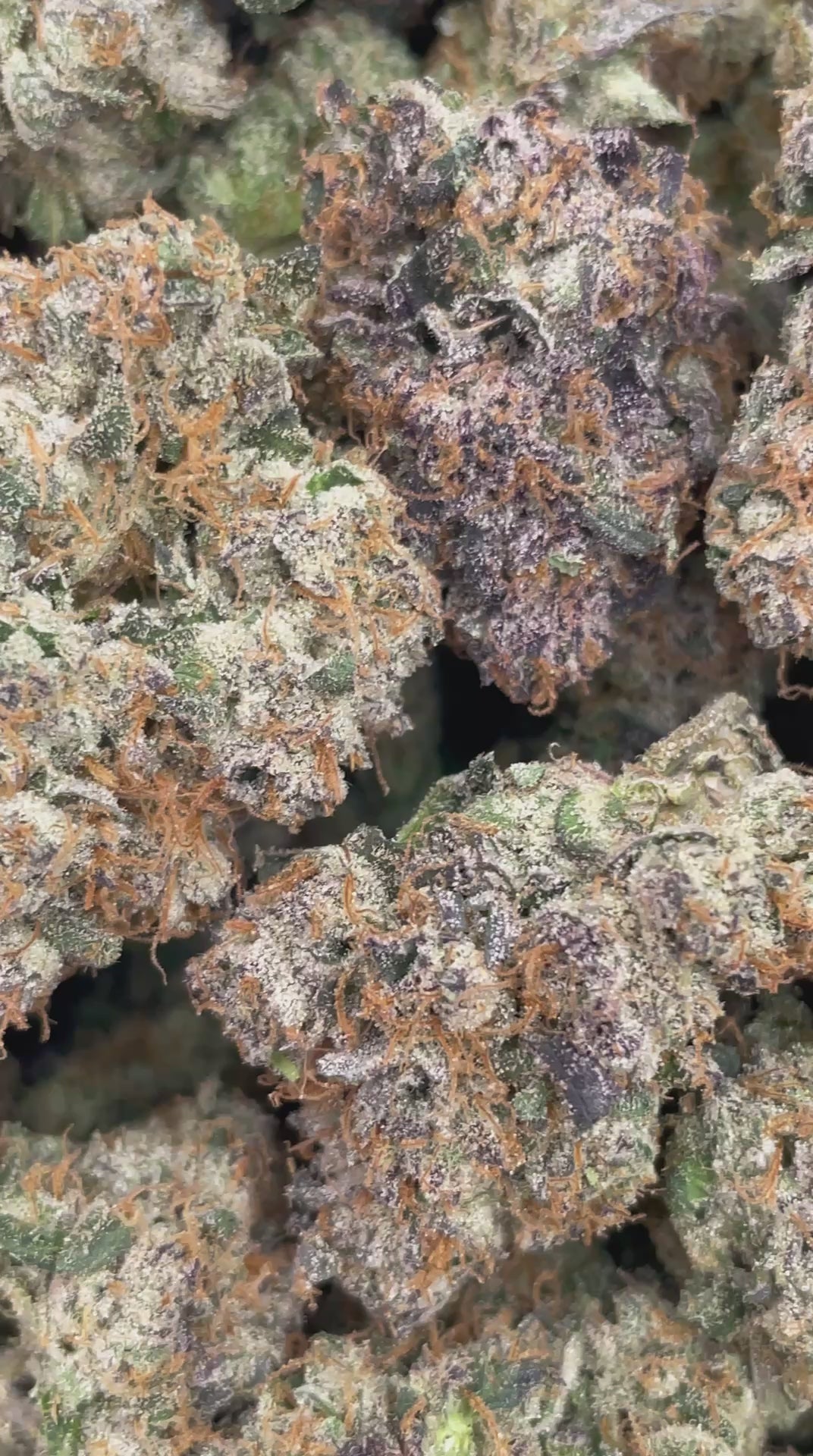 CUSTOM FLOWER ORDER | FIRST CUT EXCLUSIVE