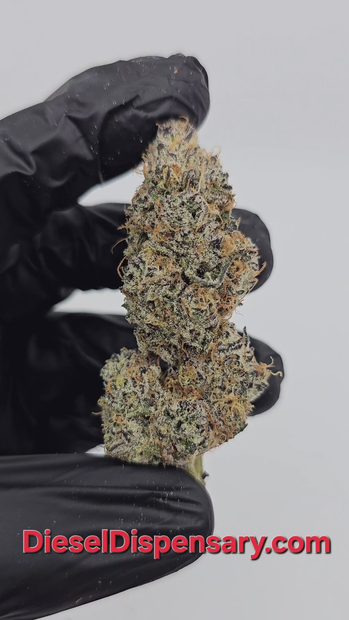 Grape GhostFace | Private Reserve Flower | 34%