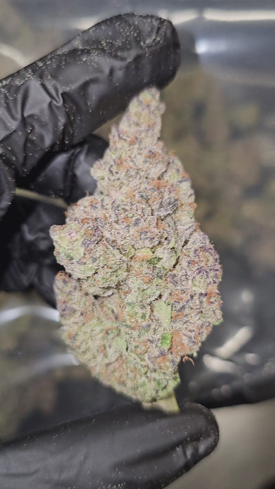 BlockBerry | First Cut Exotics | Flower | 33.83%