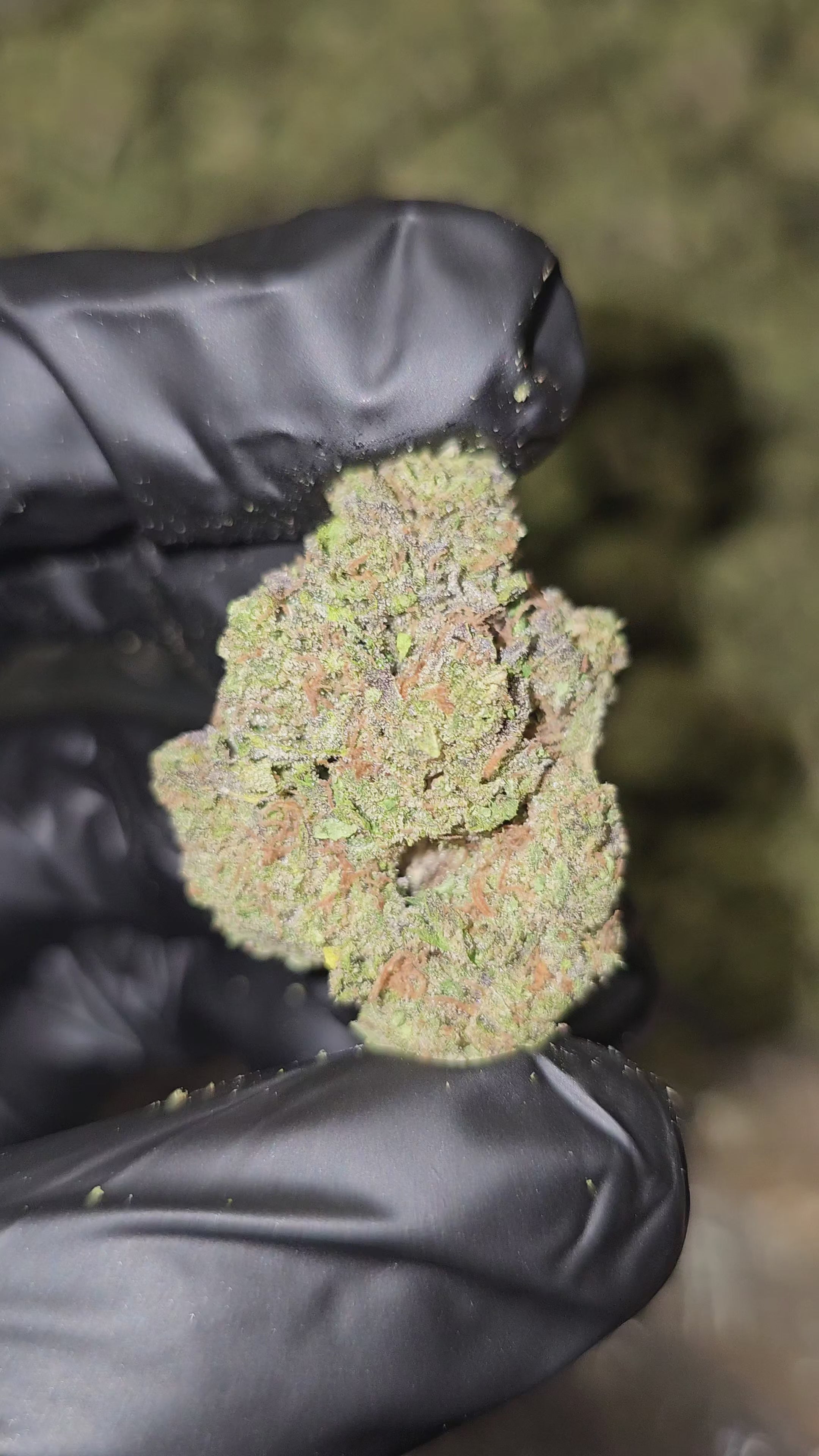 Atomic Apple | Top Shelf Flower