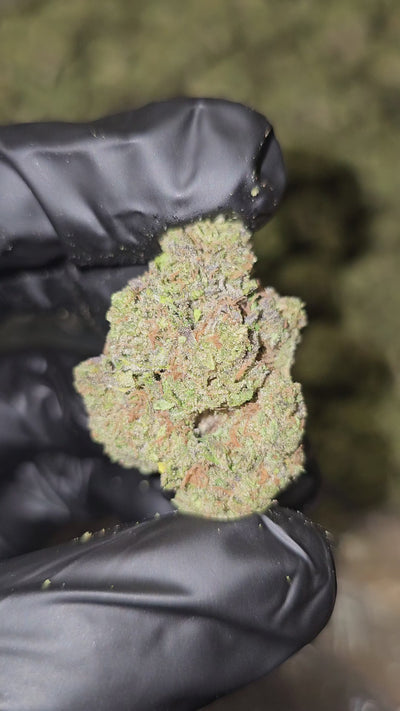 Atomic Apple | Top Shelf Flower
