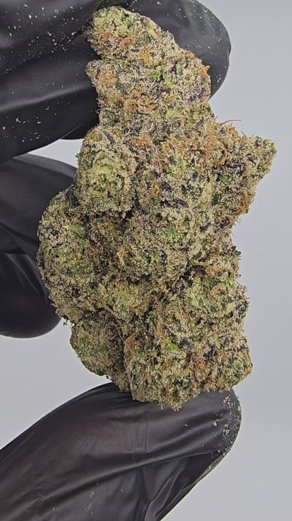 Candy Land | First Cut Exotics | Flower