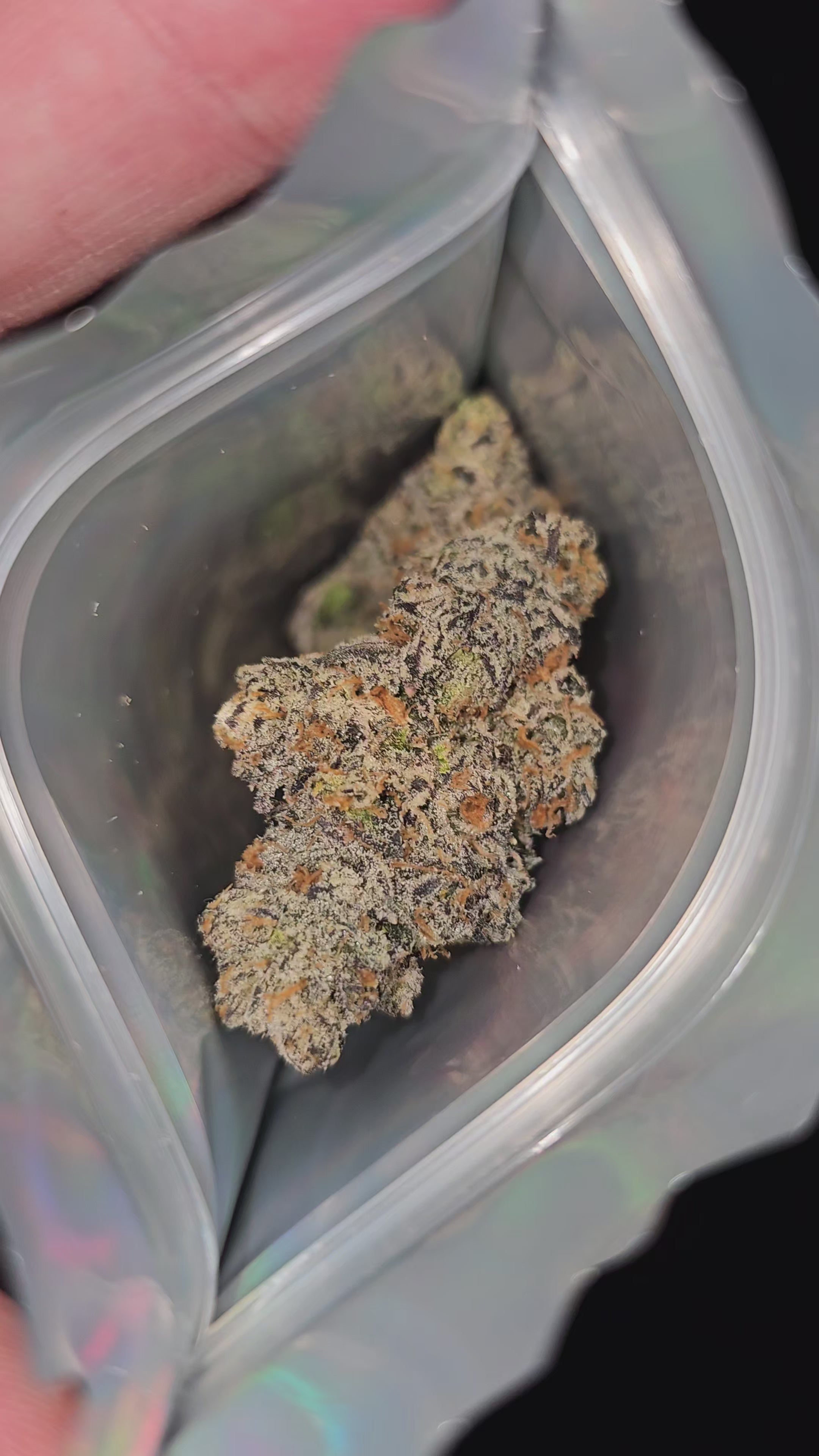 Load video: Yum Yum Sauce | 3.5g Cali Pack | Boutique Exotics | Flower