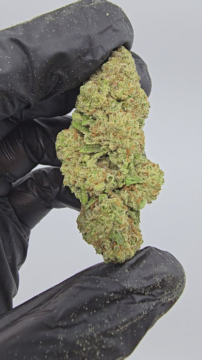 Papaya | Top Tier | Flower