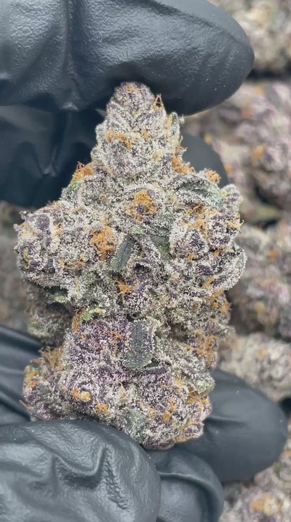 Pink Berry Runtz | First Cut Exclusive | Flower