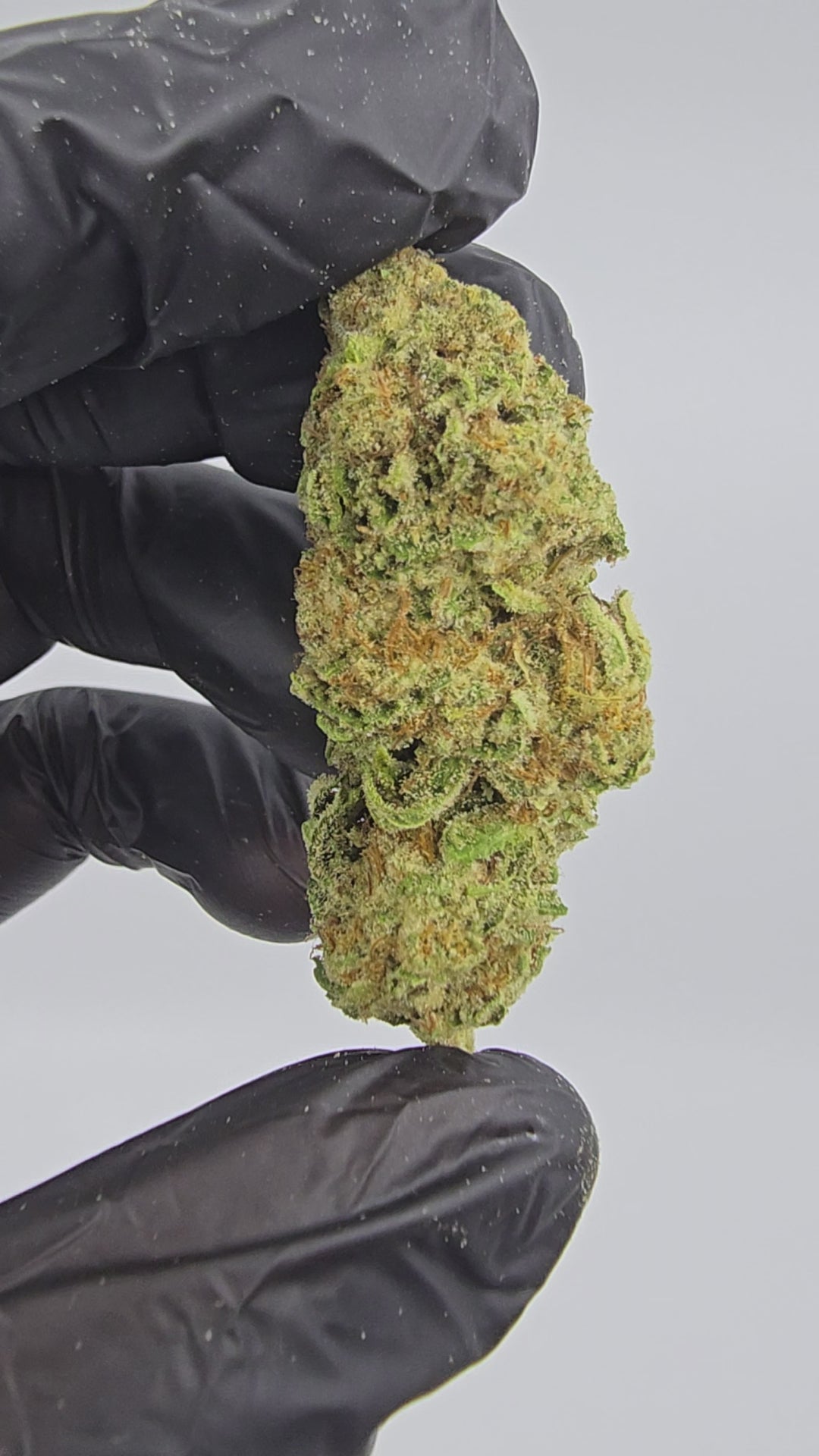 Lambo OG | Top Tier | Flower