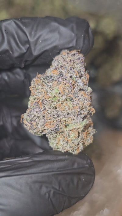 Toad Venom | First Cut Exotics | Flower