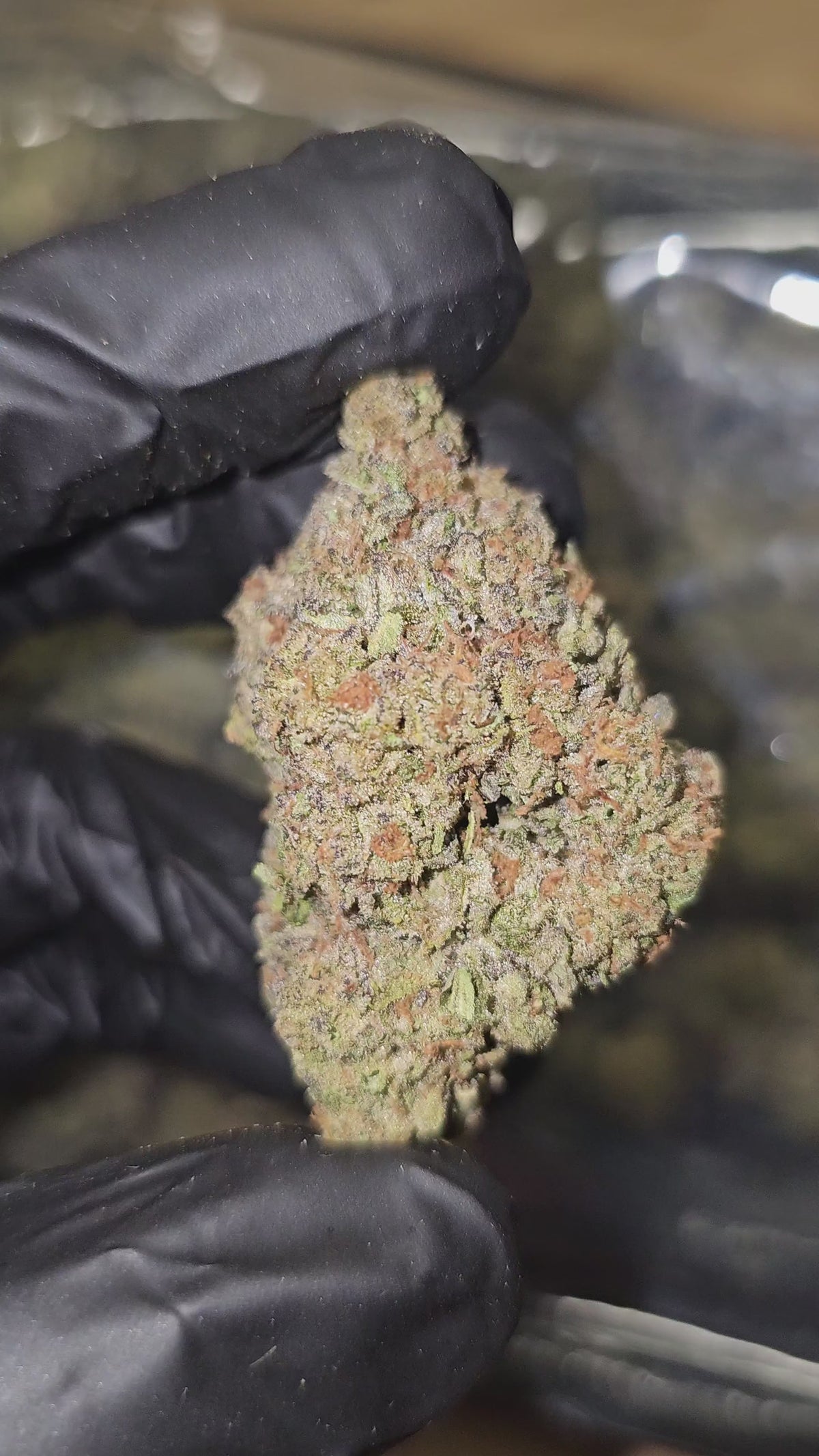 Gelato | Top Shelf | Flower | ON SALE