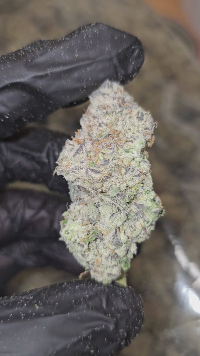 Diesel's Junky (Cap Junky) | First Cut Exotics | Flower