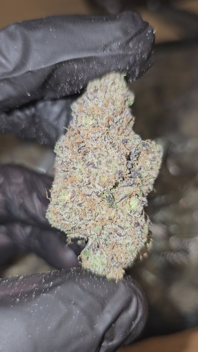 Melonade Skunk | First Cut Exotics | Flower