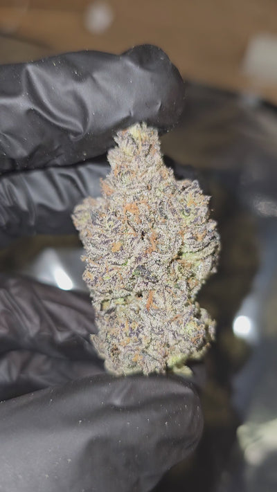 Garlic Butter | First Cut Exotics | 32% | Flower