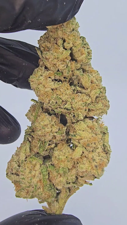 Tropical Cookies | Top Tier | Flower