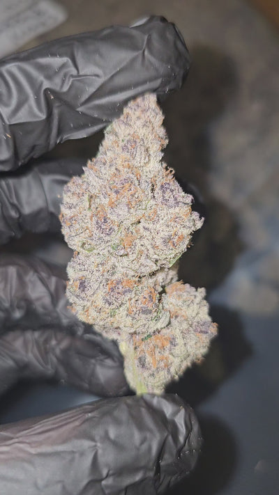Cherry Poppers | First Cut Exotics | 35% | Flower