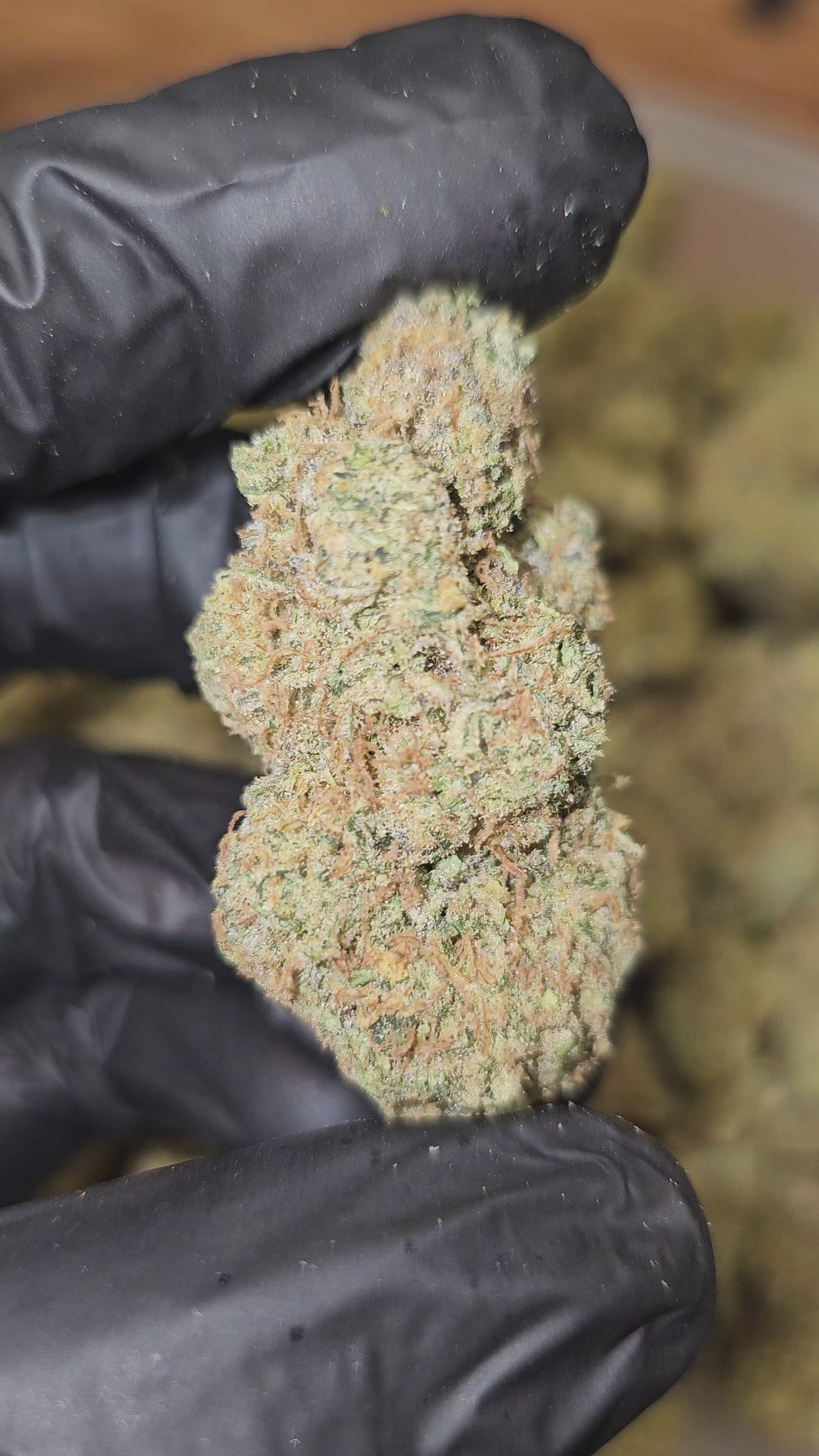 Load video: Chem Dawg | Boutique Exotics | Flower | On Sale