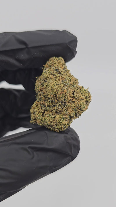 Sour Power OG | Top Shelf | Flower