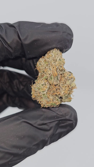Trufflez | First Cut Exotics | Flower