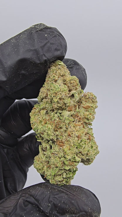 Papaya | Top Tier | Flower