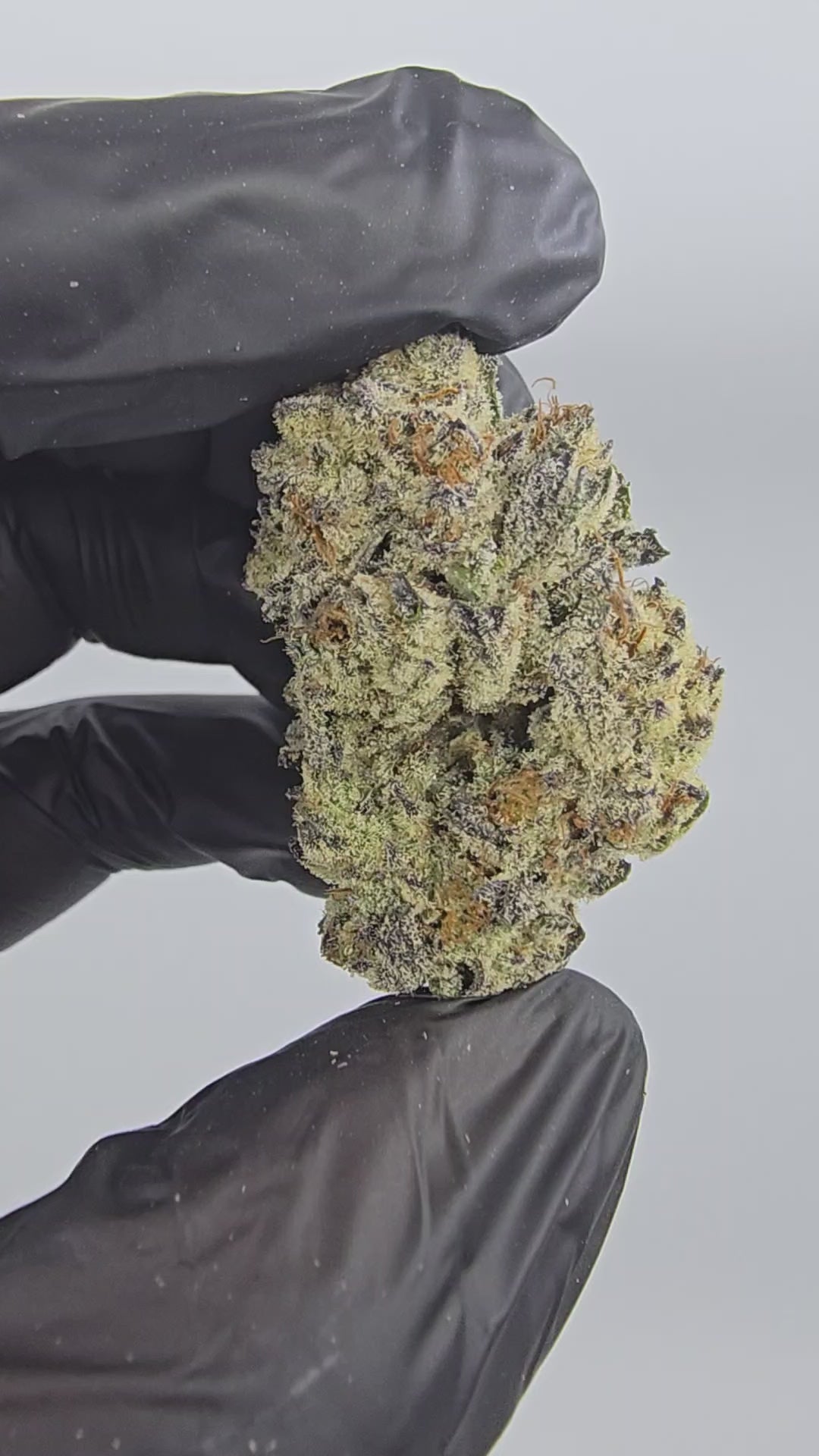 Load video: Diamond OG | Boutique Exotics | Flower | MEMBERS ONLY DEAL