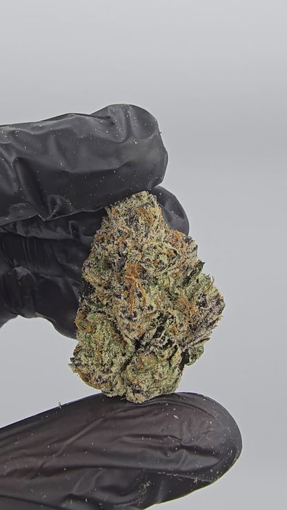 Blue Nerds | First Cut Exotics | Flower