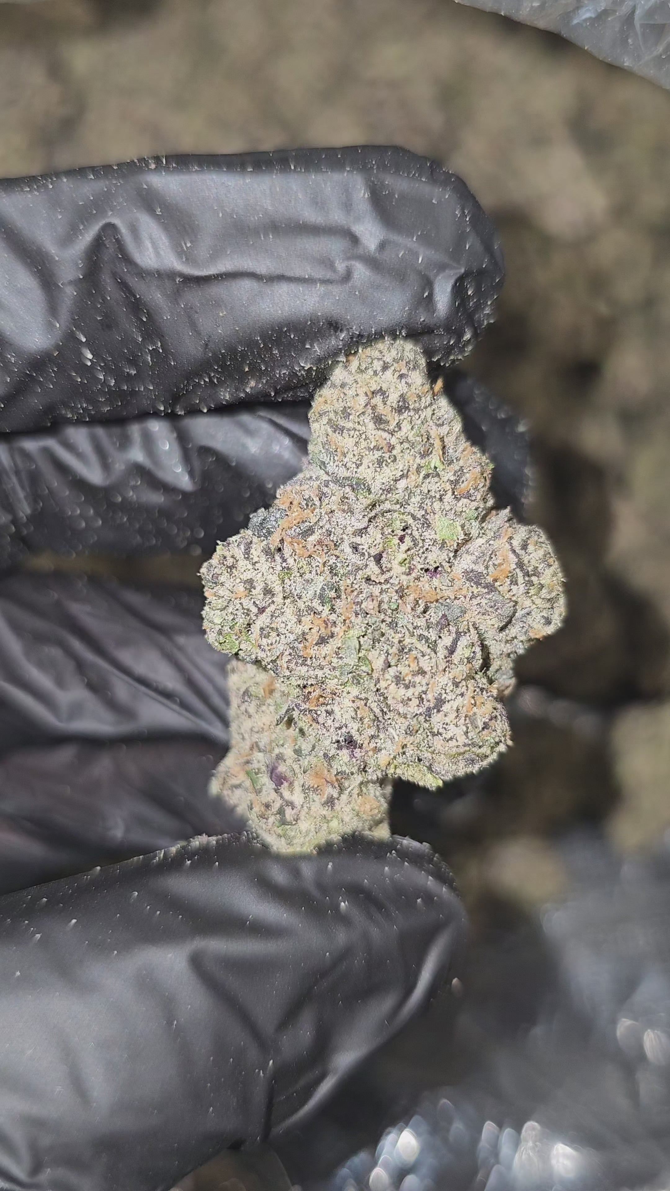 Load video: Insane Pound Cake | First Cut Exclusive | Flower | ON SALE